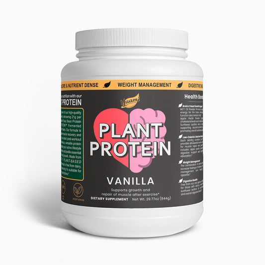 Plant Protein (Vanilla)