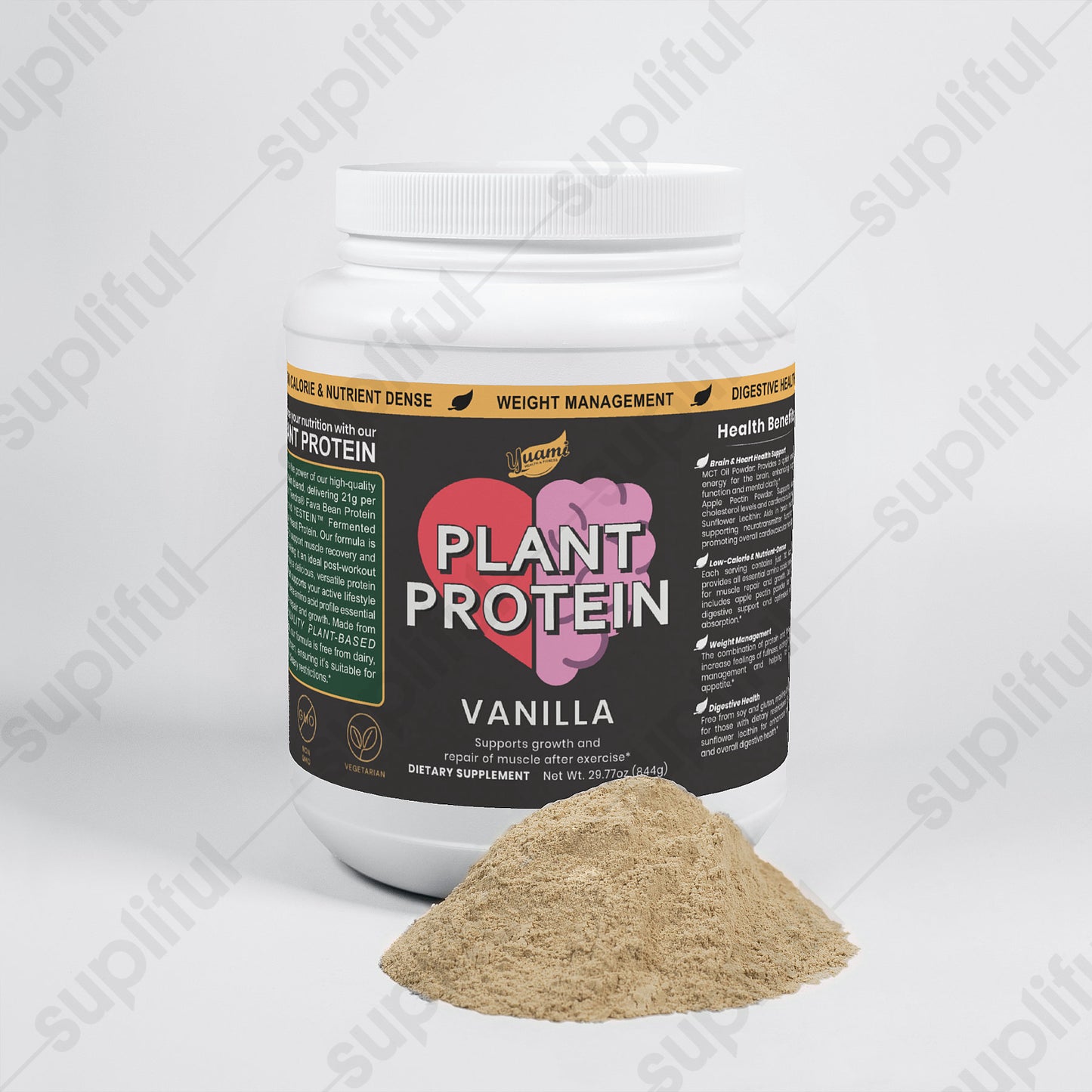 Plant Protein (Vanilla)